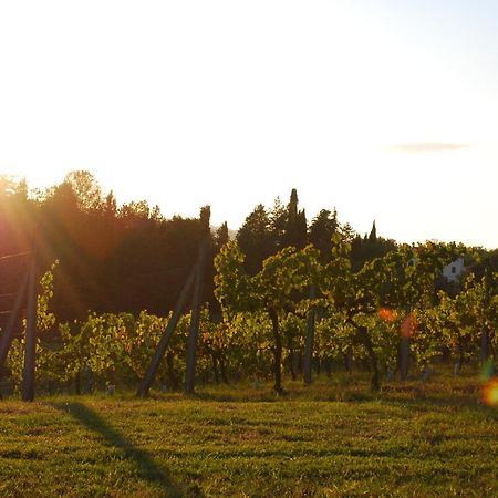 Agriturismo Il Sasso ξενώνας Anghiari Εξωτερικό φωτογραφία