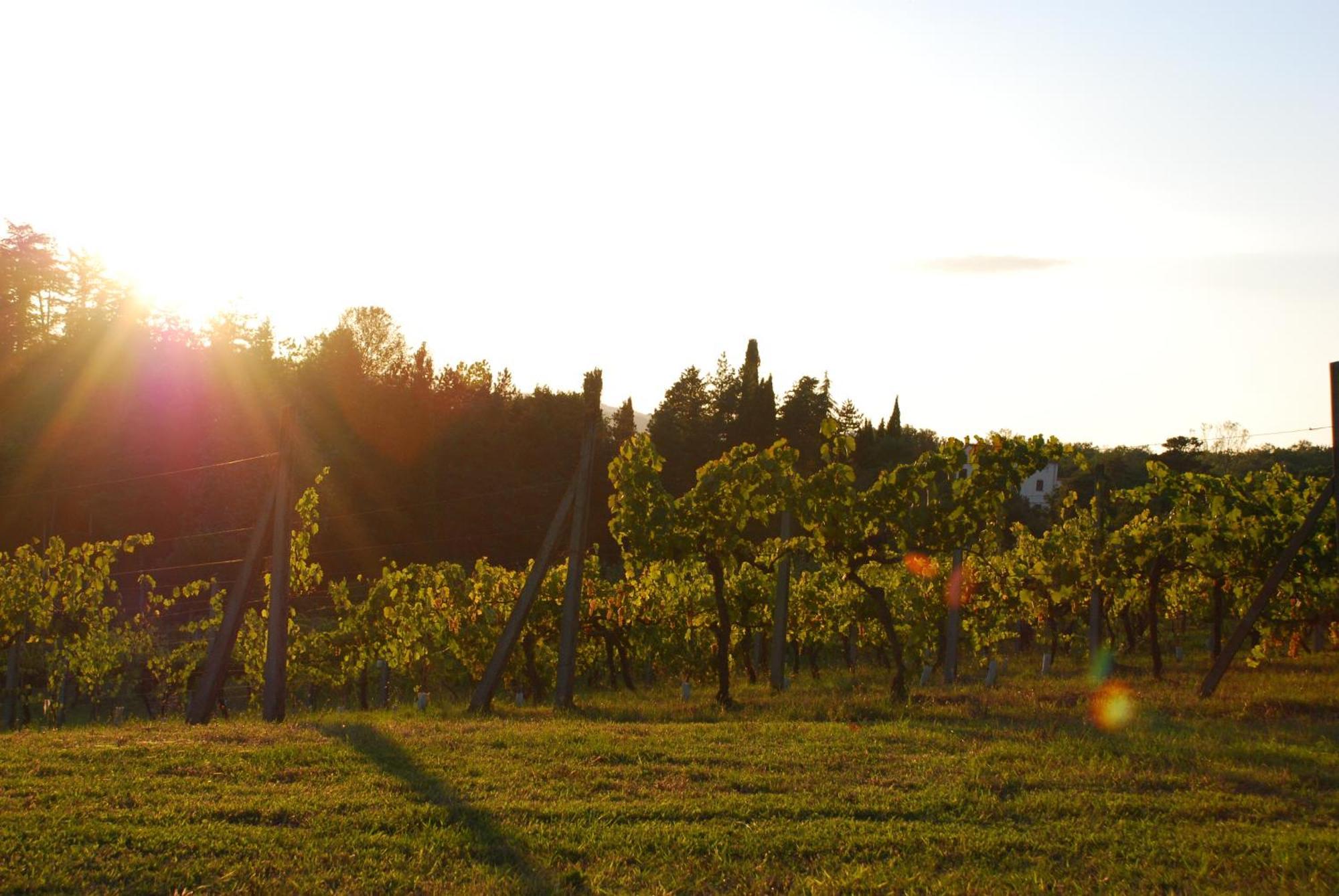 Agriturismo Il Sasso ξενώνας Anghiari Εξωτερικό φωτογραφία