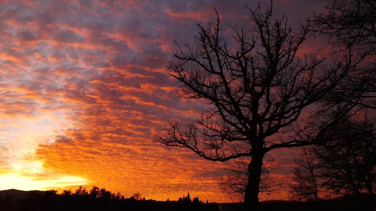 Agriturismo Il Sasso ξενώνας Anghiari Εξωτερικό φωτογραφία